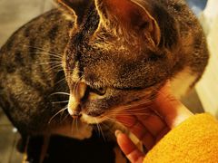 -酒友老火锅(渝中店)