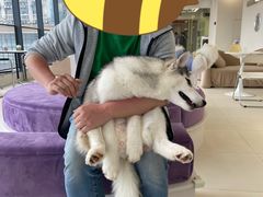 -怪兽屋·羊驼·猫咖·狗咖(俊华广场店)