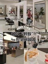 -蚂蚁造型俱乐部