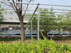 -北京上庄水库尚野露天户外自助烧烤