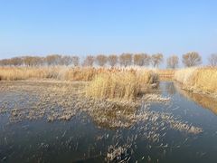 -野鸭湖国家湿地公园