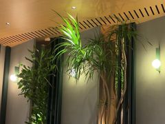 -gaga(深圳京基KKMALL店)