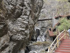 -牛背梁国家森林公园