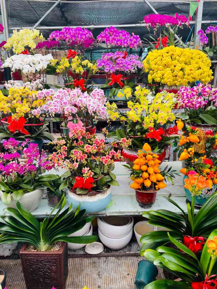 金地花卉大观园嘉茂鑫源绿植鲜花-"金地算是西二旗附近最大的花卉市场