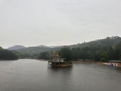 -庐山风景区花径公园