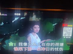 -音乐在线主题氧吧KTV(佳宁娜广场店)