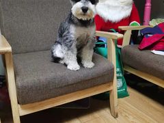 -BABIT巴比特宠物(MOMOPARK店)