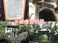 -杭州黄龙洞