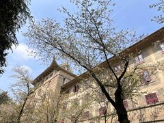 -武汉大学-樱园