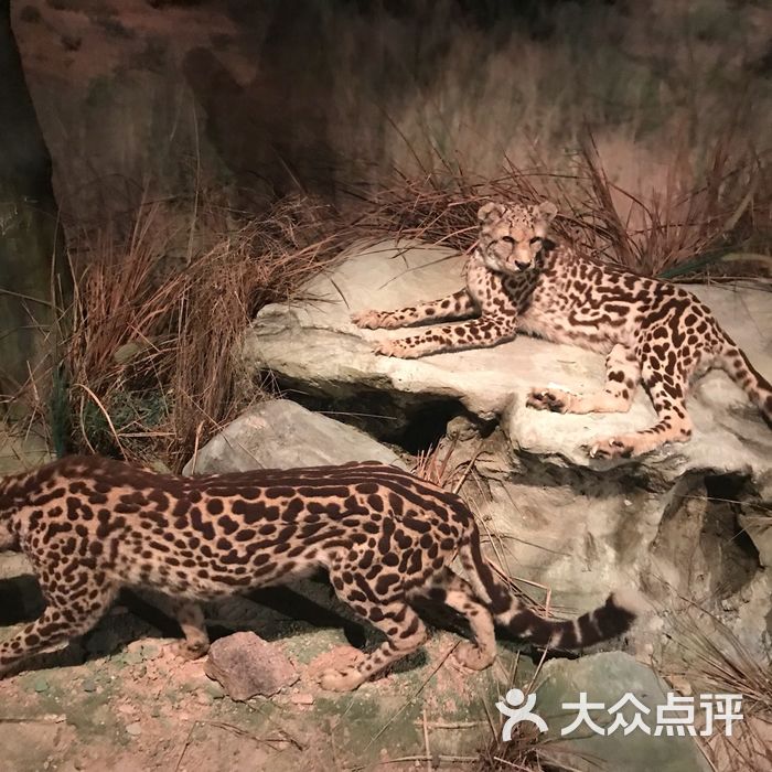 深圳博物馆新馆