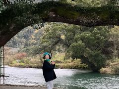 -上坦村