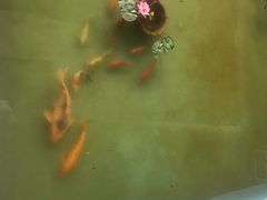-嘉豪淮海国际豪生酒店