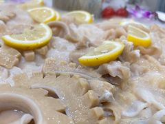 象拔蚌-蚝专家(北滘店)