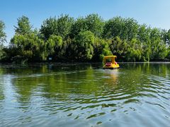-溱湖国家湿地公园