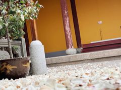 -龙华寺