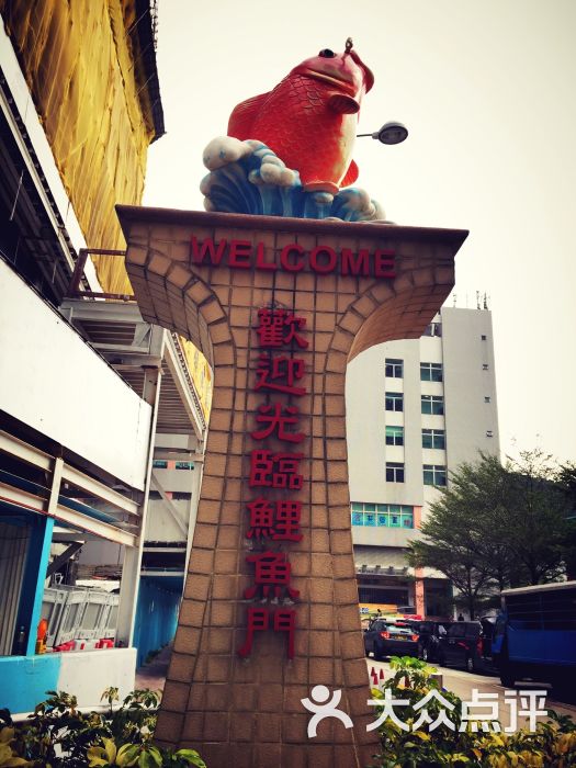 鲤鱼门海鲜街图片 - 第11张