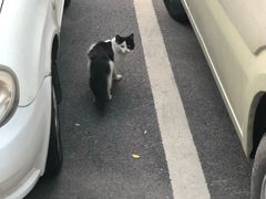 -蜜雪冰城(姚村店)