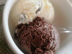 -视界美食自助餐厅·石家庄希尔顿酒店