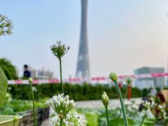 -海心沙亚运公园