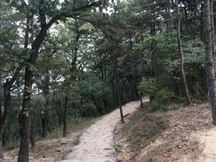 -北京鹫峰国家森林公园
