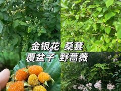 -盘龙城国家考古遗址公园