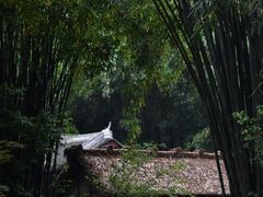 -成都杜甫草堂博物馆