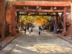 -横店影视城梦幻谷园区