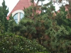 -八大关-近代建筑