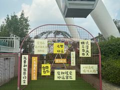 -幻彩摩天轮