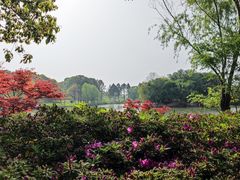 -苏州太湖国家湿地公园