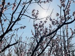 -前小桔亲子创意农场·草莓采摘·露营烧烤