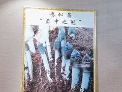 -菌之家·专业纯野生菌火锅·特色炒菌