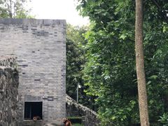 -都江堰中华大熊猫苑