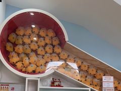-极橙儿童齿科矫正中心(奥城店)