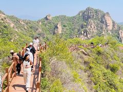 -大岭沟猕猴桃谷风景区