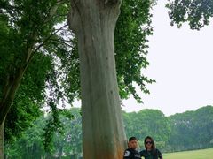 -河南省黄河迎宾馆