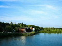 -昆山城市生态森林公园