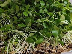 -岳各庄批发市场(西四环中路店)