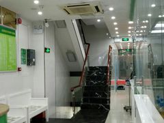 -瑞鹏宠物医院华南总院·夜诊·心脏科·骨科