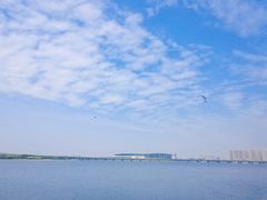 -天津金海湖
