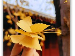-承恩寺