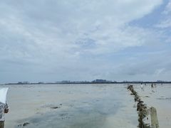 -北海金海湾红树林生态旅游区