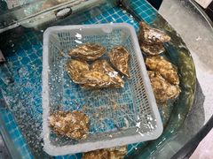 -渔码头食府(蓬莱阁店)