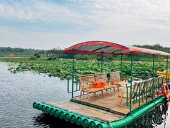 -上海海湾国家森林公园