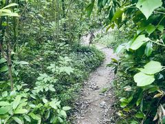 -青龙山国家森林公园