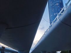 -演武大桥观景平台