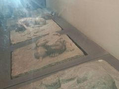 -西安青龙寺遗址景区