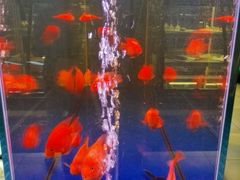 -海天牧场(银川商城店)