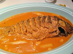 -阿五黄河大鲤鱼(纬三路店)