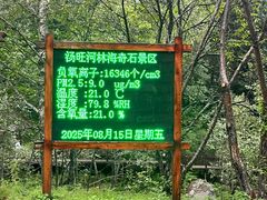 -汤旺河林海奇石景区